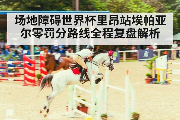 equestrian rider jumping course arena